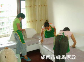 雙流保潔公司 專業清洗油煙機，守護廚房健康環境