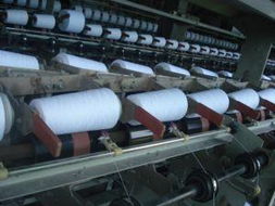 蒼南縣望里鎮海島清潔用品廠 專業清潔服務，守護環境之美